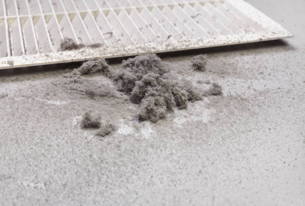 Best Air Vent Cleaning Services  in Fort Walton Beach, FL
